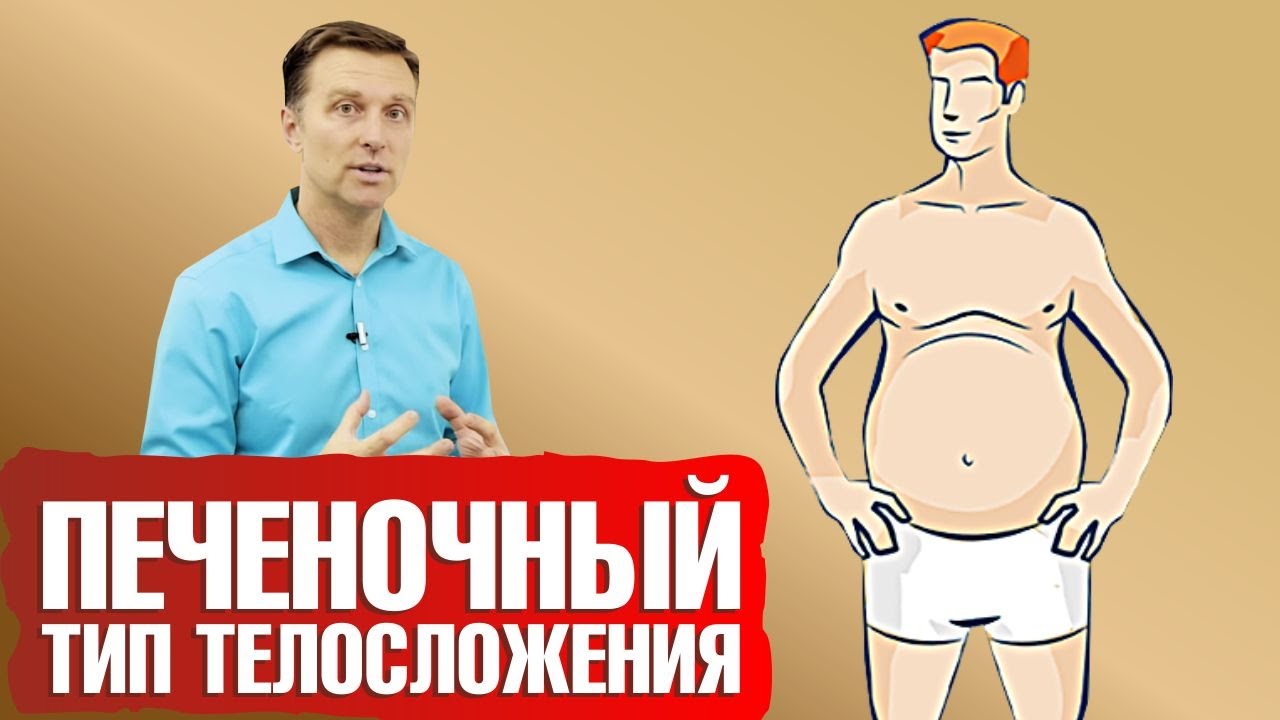Печеночный тип телосложения